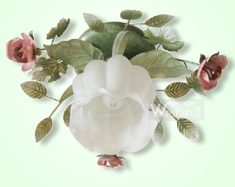 灯具:阳台吸顶灯