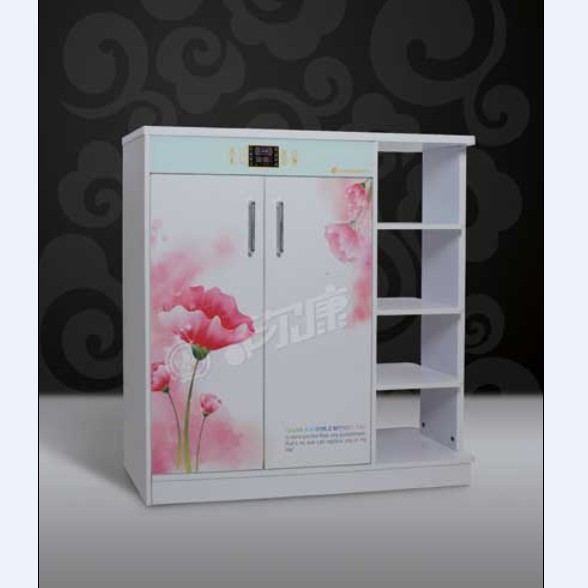 家具:智能鞋柜