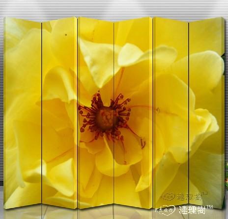 玄关实木六扇屏风 时尚家居lls_A077