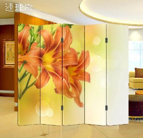 时尚简易家居组合双面屏风特价p05003