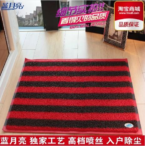 蓝月亮地毯高档双色喷丝pvc塑料地垫条纹客厅拉丝圈