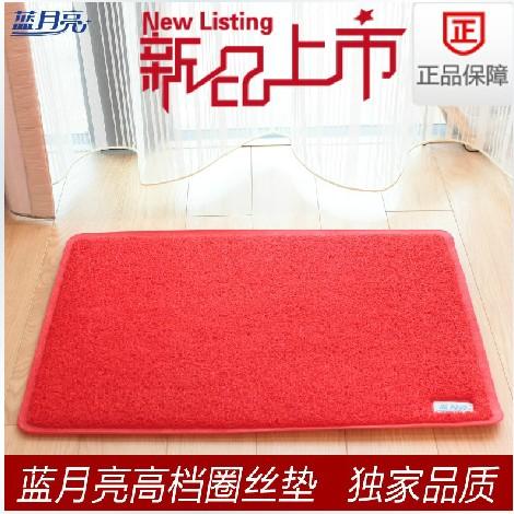 蓝月亮地毯圈丝PVC喷丝地垫入户玄关客厅拉丝塑料无
