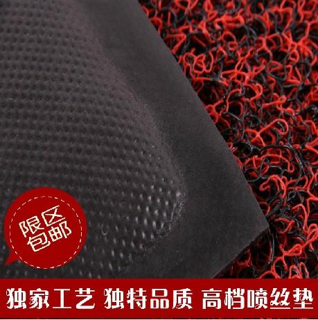 蓝月亮地毯无字欢迎出入户客厅地垫丝圈塑料PVC加厚