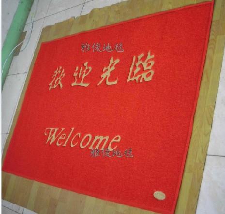 塑料地毯 PVC防滑垫 进门脚垫 玄关地毯 门厅防