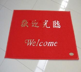 定制塑料地毯加厚PVC喷丝进门垫入户垫门口垫脚垫防