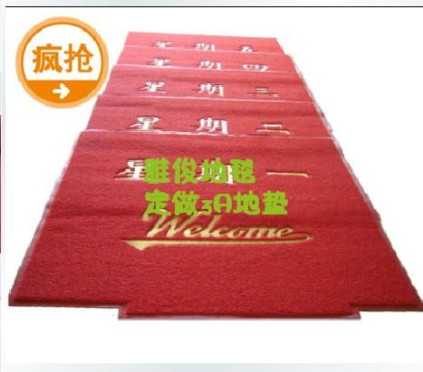 定制塑料地毯加厚PVC喷丝进门垫入户垫门口垫脚垫防
