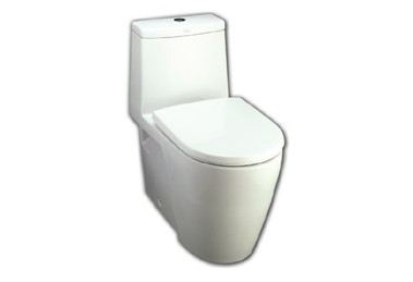 卫生洁具:蹲厕与坐便器