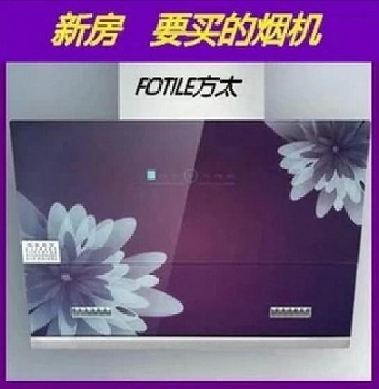 方太油烟机侧吸式正品 方太抽油烟机侧吸欧式 新款钢